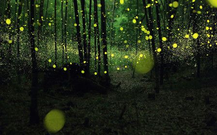 26082015093021998.jpg